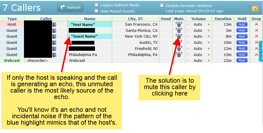 conference call echo problem on zoom